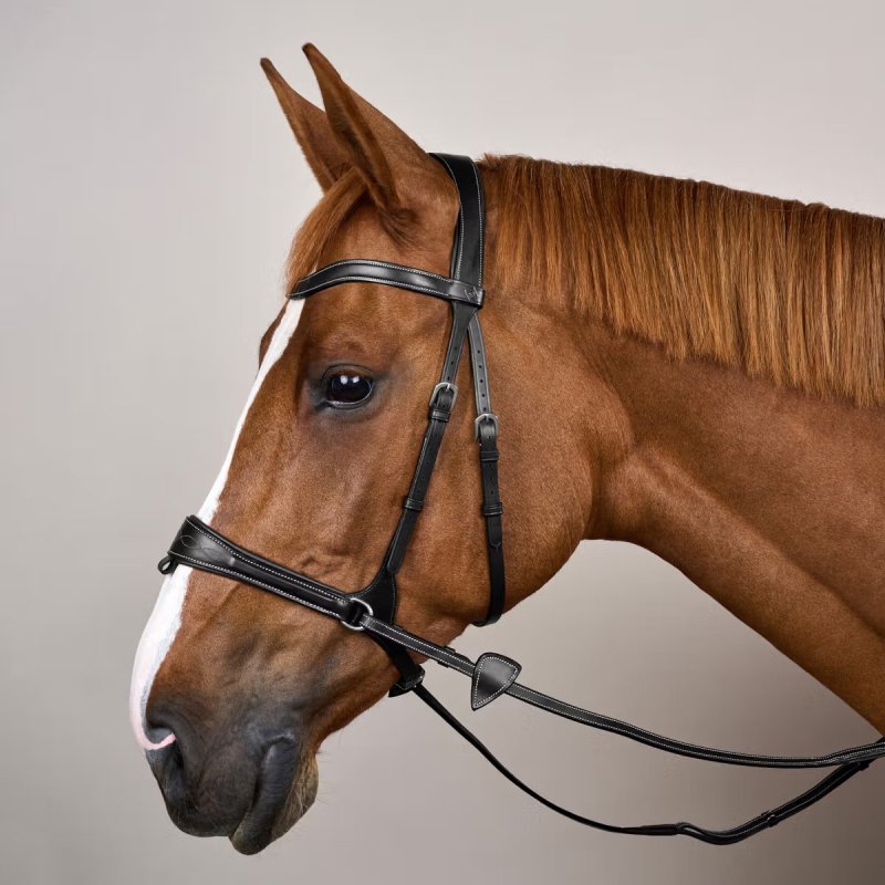 Dy'on Working Collection Working Motion Bridle - Image 8