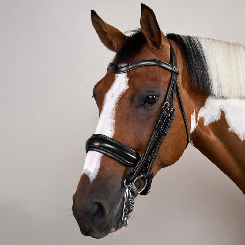 Dy'on Working Collection Matte Large Crank Noseband Double Bridle - Image 3