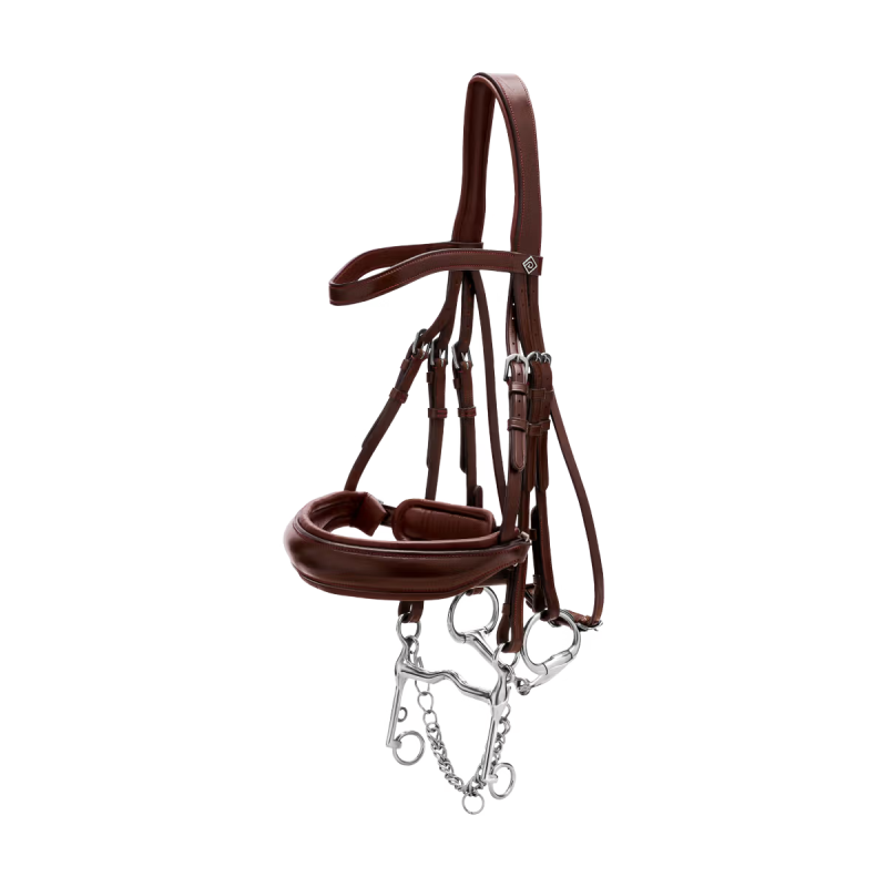 Dy'on Working Collection Matte Large Crank Noseband Double Bridle - Image 2