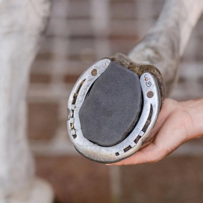 EquiFit HoofSavers™ - Image 11
