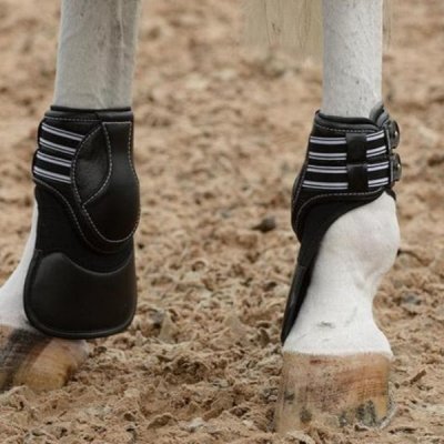 EquiFit Extended ImpacTeq® Replacement Liners for D-Teq™ Hind Boots - Image 2