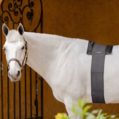 EquiFit Hot/Cold Therapy BackPack™ - Image 2