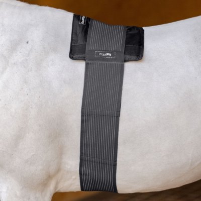 EquiFit Hot/Cold Therapy BackPack™ - Image 3