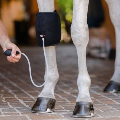 EquiFit GelCompression KneeBoots™ - Image 3