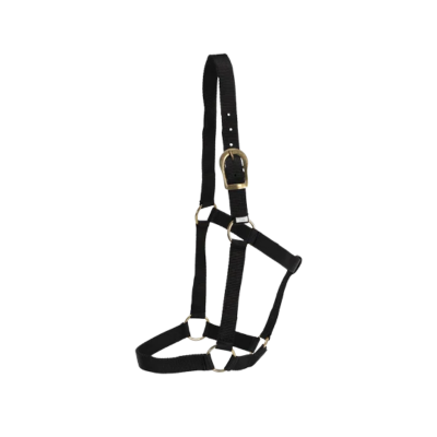 GG Stable Halter