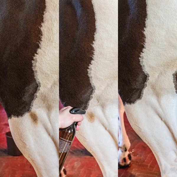 GD Green Spot & Dust Remover almond - Image 4