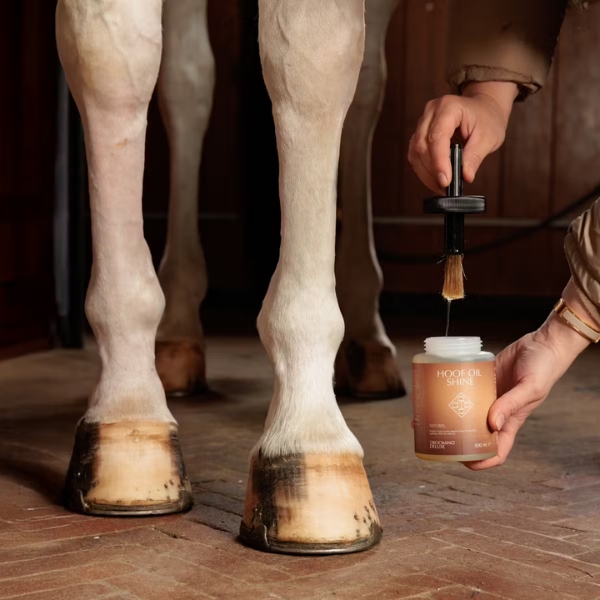 GD Hoof Oil Shine - Image 8