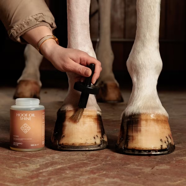 GD Hoof Oil Shine - Image 7