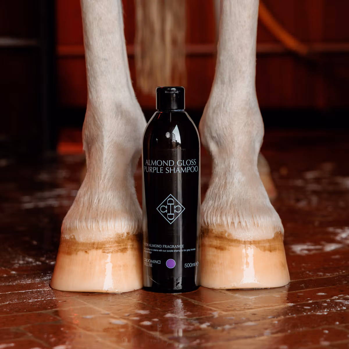 Grooming Deluxe Almond Gloss Purple Shampoo - Image 2
