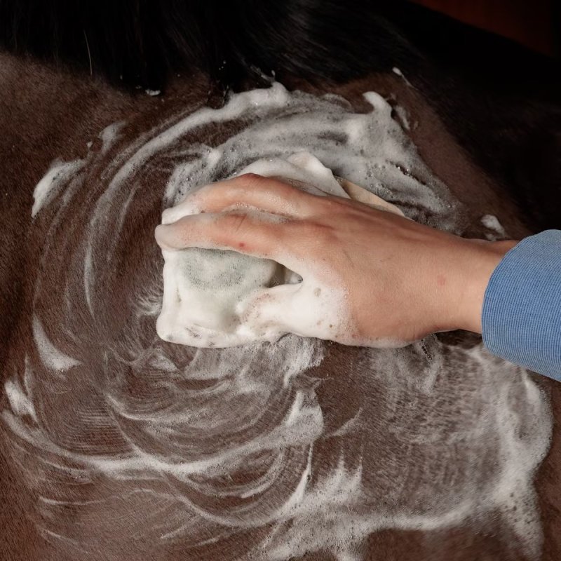 Grooming Deluxe Shampoo Bar - Image 5