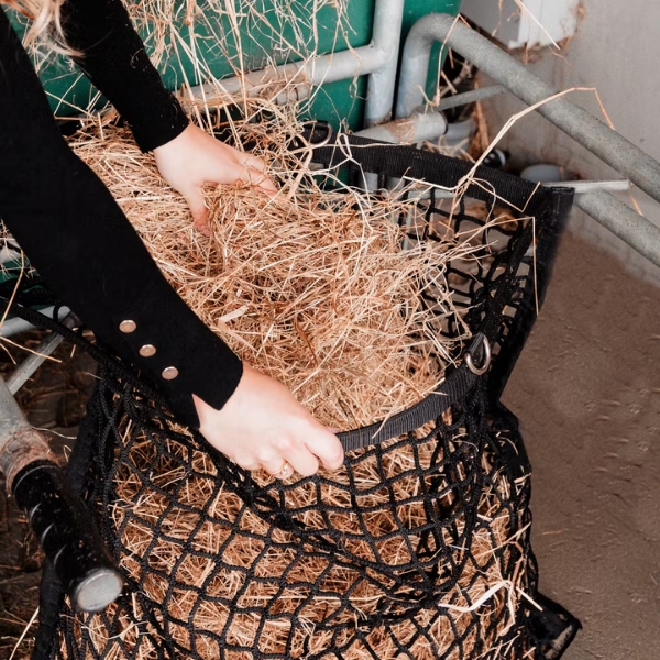 Girth & Jacket Rack with 10 hooks - Image 2