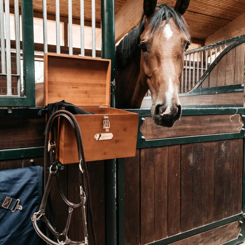Grooming Deluxe Stable Tack Box - Image 5