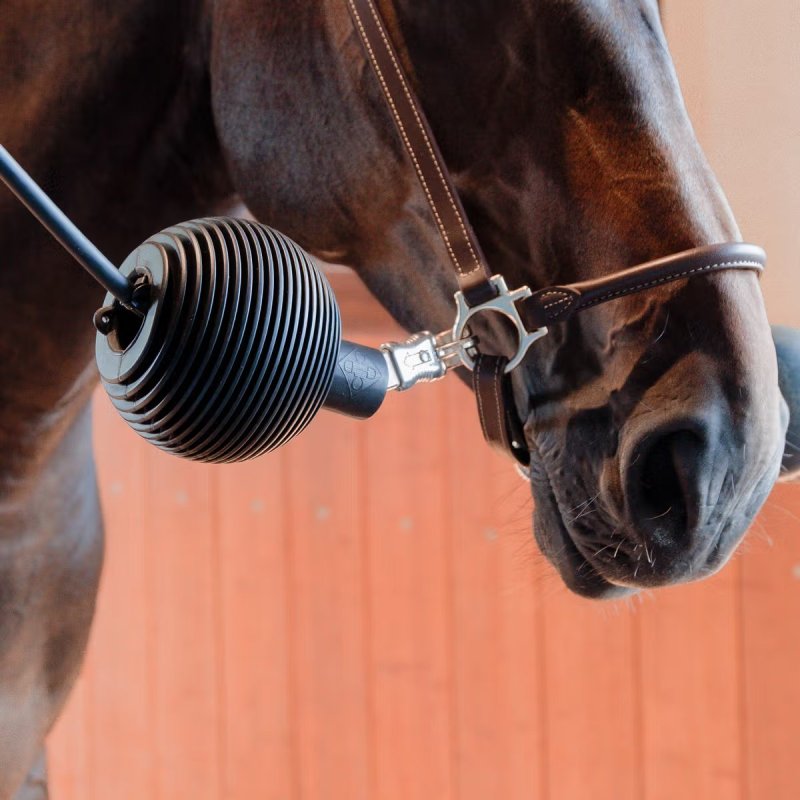 Kentucky Horsewear Lead & Wall Protection Rubber Ball Pro - Image 3