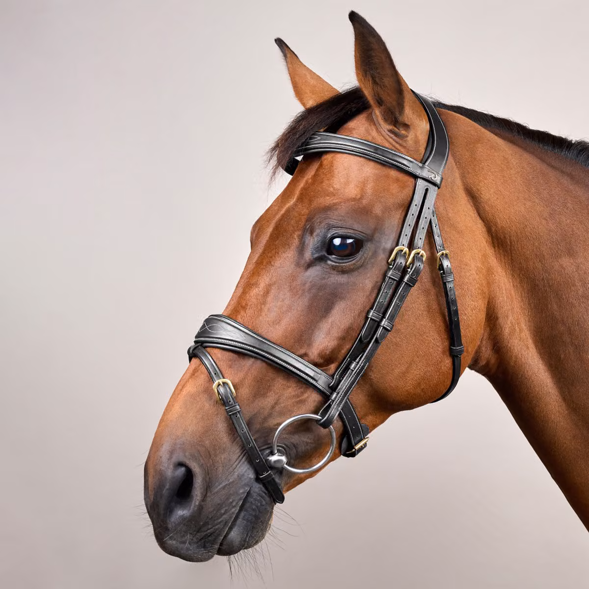 Dy’on Anatomic Flash Noseband Bridle - Image 2