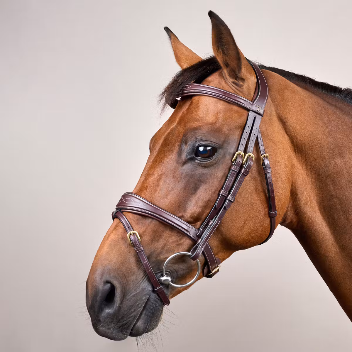 Dy’on Anatomic Flash Noseband Bridle