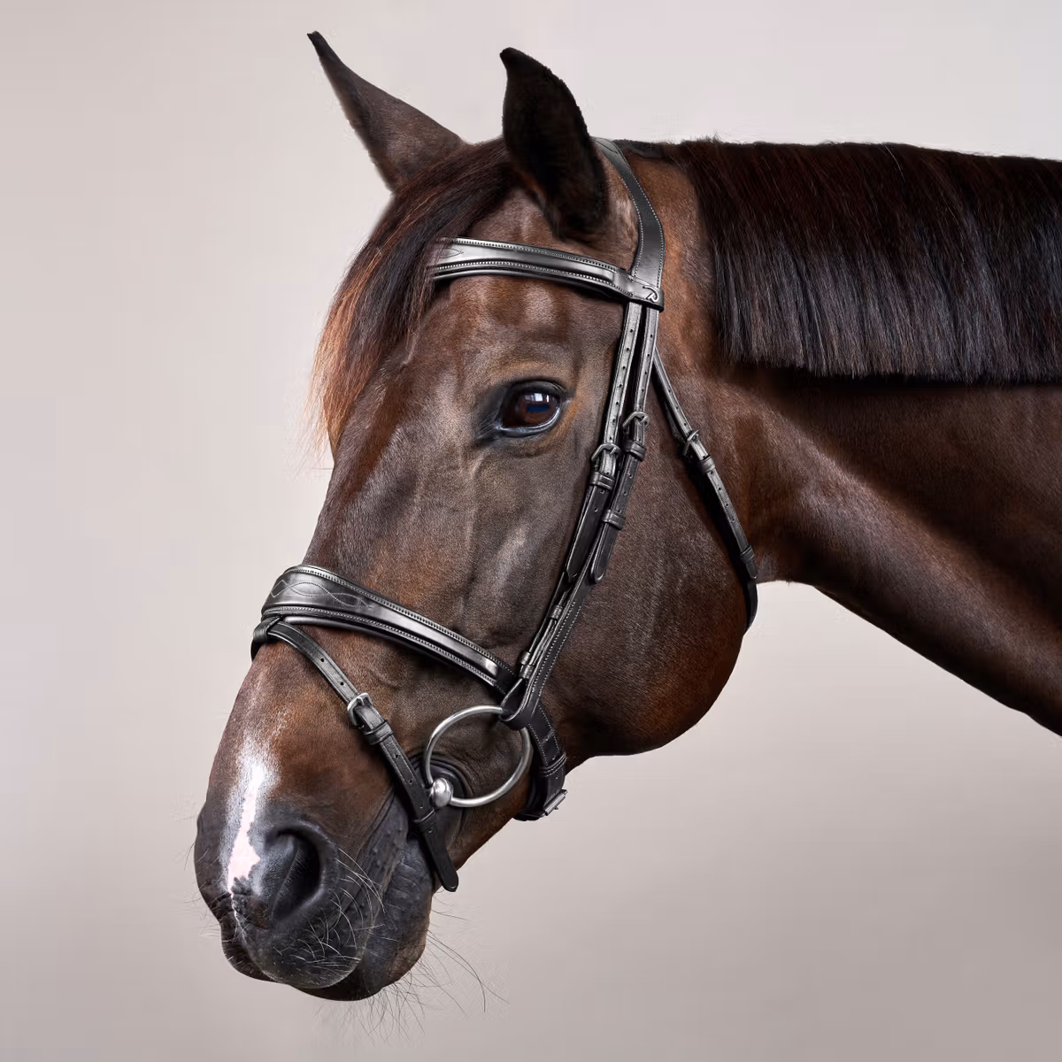 Dy’on Anatomic Flash Noseband Bridle - Image 4