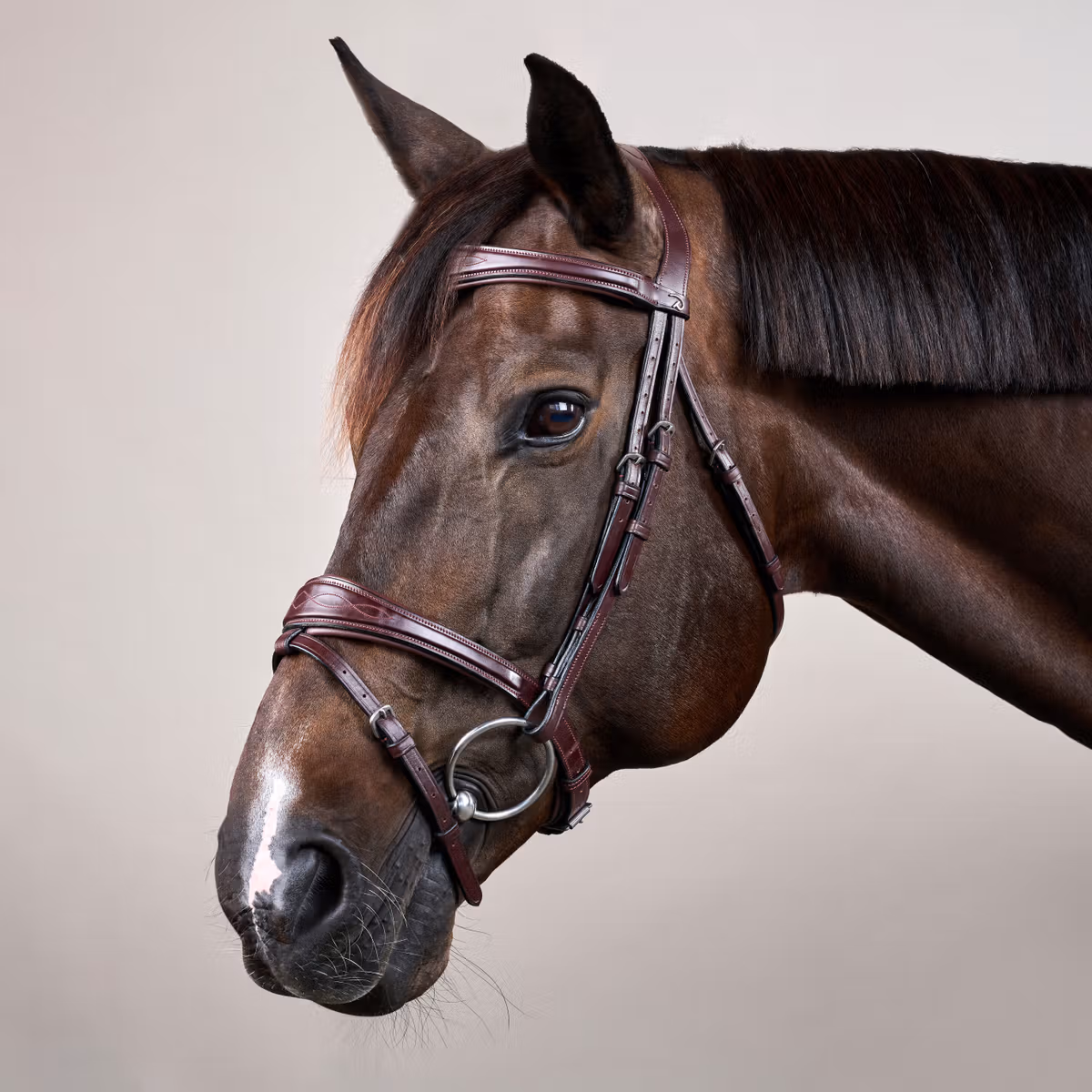 Dy’on Anatomic Flash Noseband Bridle - Image 3