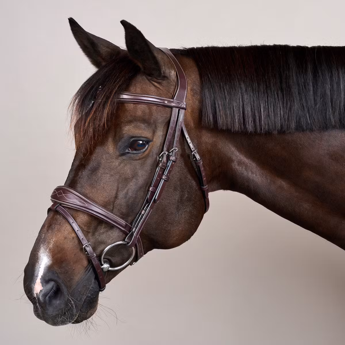 Dy’on Anatomic Flash Noseband Bridle - Image 5